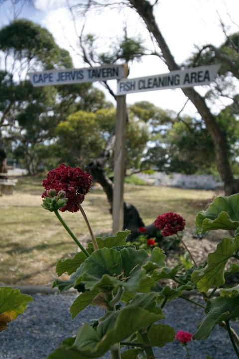 Cape Jervis Holiday Units - Renee 13