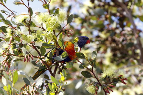 Cape Jervis Holiday Units - Renee 11