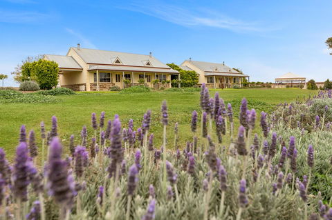 Barossa Vineyard Cottages - Renee 10