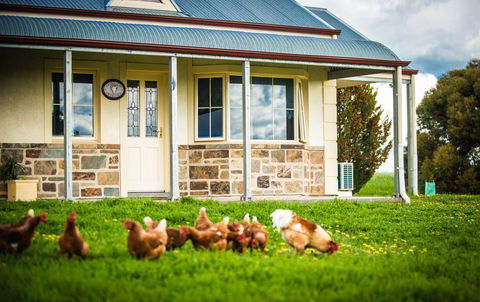 Barossa Vineyard Cottages - Renee 40