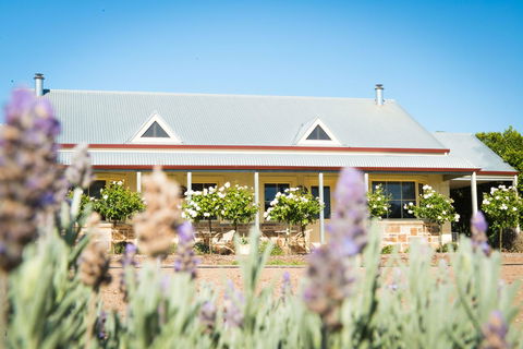 Barossa Vineyard Cottages - Renee 3
