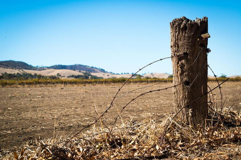Barossa Vineyard Cottages - Renee 5