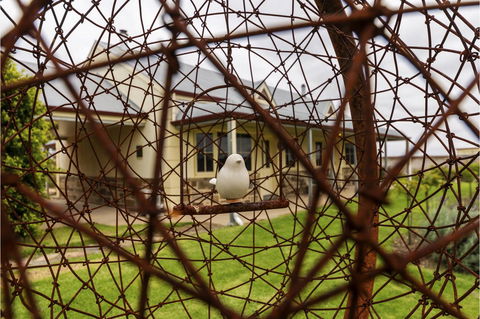Barossa Vineyard Cottages - Renee 21