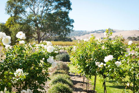 Barossa Vineyard Cottages - Renee 1