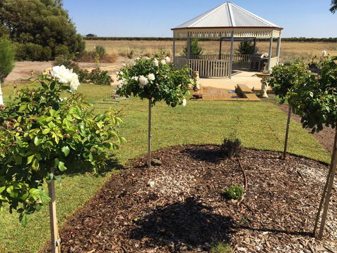 Barossa Vineyard Cottages - Renee 43