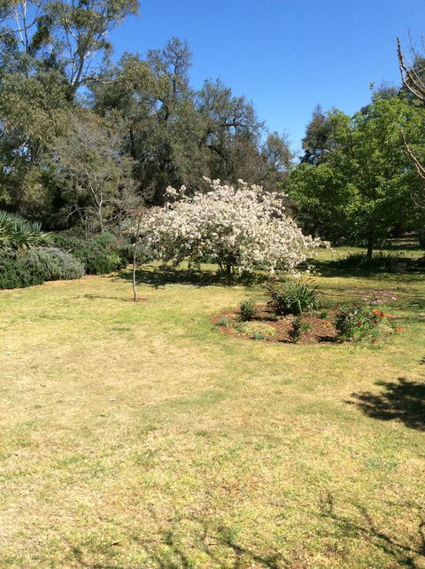 Kit Kat Cottage - Heritage Accommodation Burra - Internet Find 5