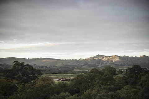 Novotel Barossa Valley Resort - Petrol Stations 23