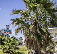 Allonville Gardens Motel - Renee