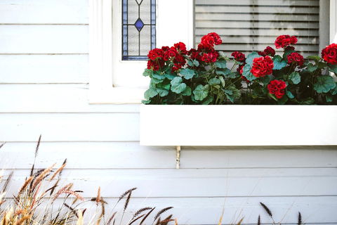 Morpeth Cottage - Renee 41