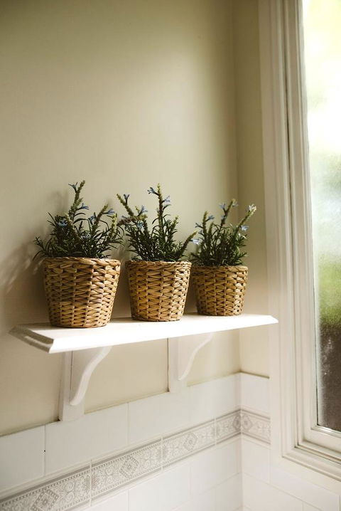 Morpeth Cottage - Renee 31