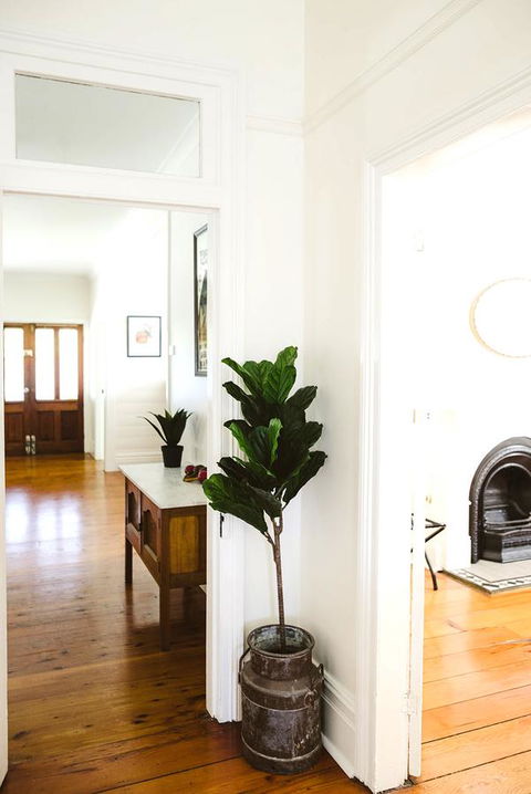 Morpeth Cottage - Renee 3