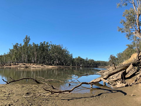 Corowa Bindaree Holiday Park - Internet Find 1