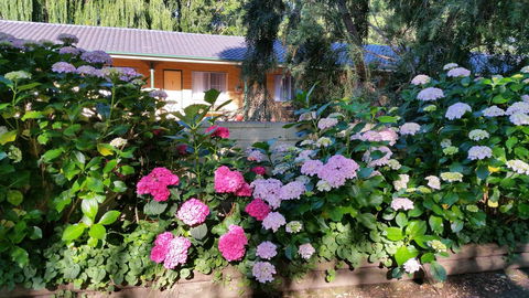 Moruya Motel - Renee 28