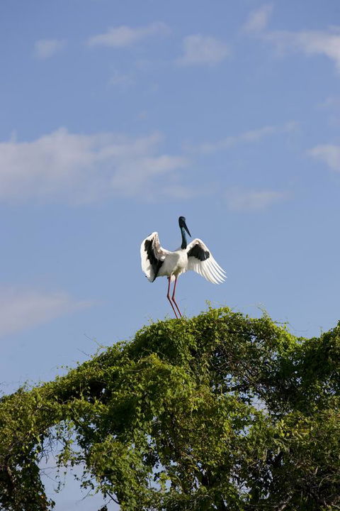 Mercure Kakadu Crocodile - Petrol Stations 34