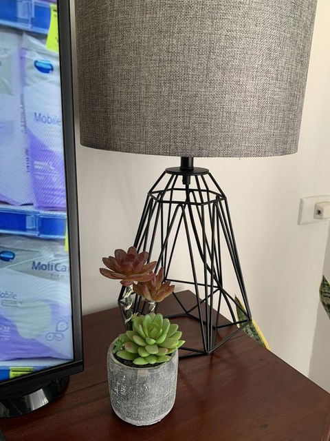 Sunshine Four - Renee 5