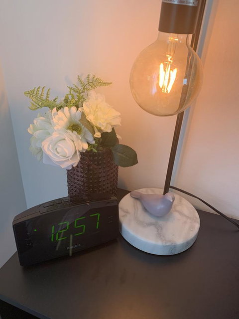 Sunshine Four - Renee 26