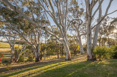 Hahndorf Resort - Petrol Stations 4