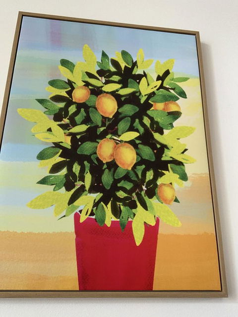 Sunshine Three - Qld Realsetate 2