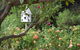 Lyndoch Hill - thumb 2