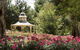 Lyndoch Hill - thumb 4