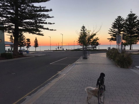 BIG4 Ceduna Tourist Park - Swimm 34