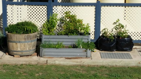 BIG4 Ceduna Tourist Park - Swimm 30