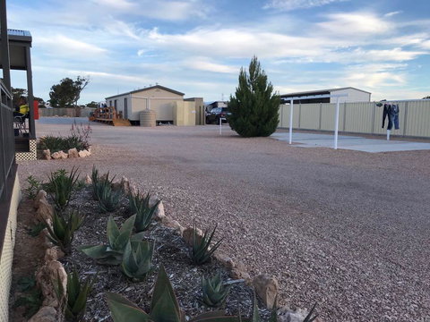 BIG4 Ceduna Tourist Park - Swimm 17