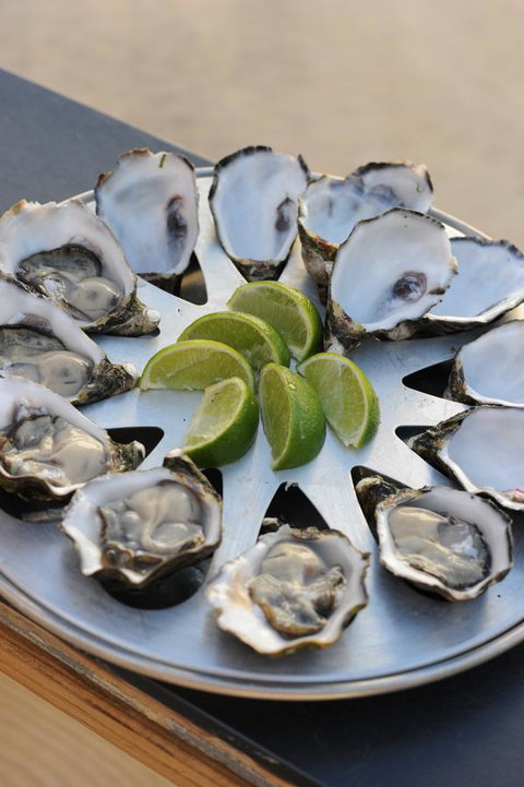 BIG4 Ceduna Tourist Park - Swimm 41