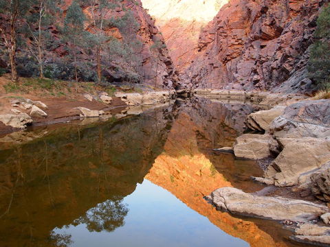 Arkaroola Wilderness Sanctuary - Internet Find 6