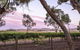 Jasmine's Barossa Valley Cottage - thumb 19
