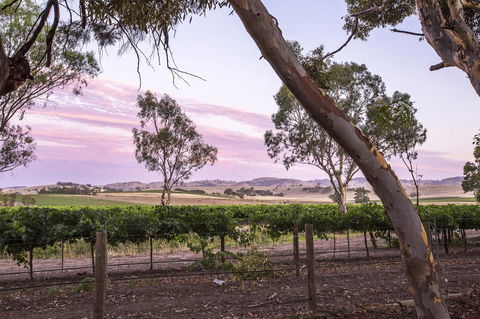 Jasmine's Barossa Valley Cottage - Petrol Stations 19