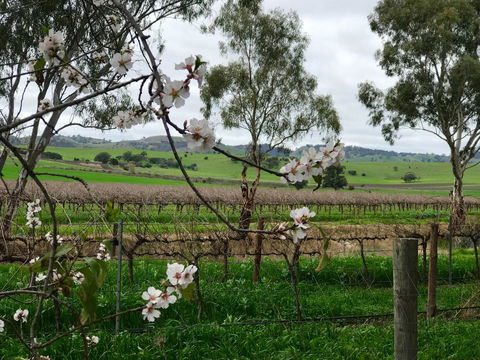 Jasmine's Barossa Valley Cottage - Petrol Stations 20
