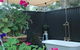Jasmine's Barossa Valley Cottage - thumb 9