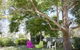 Jasmine's Barossa Valley Cottage - thumb 18