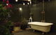 Jasmine's Barossa Valley Cottage - thumb 8