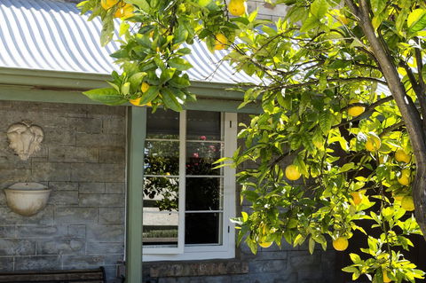 Grand Cru Estate Homestead - Petrol Stations 10