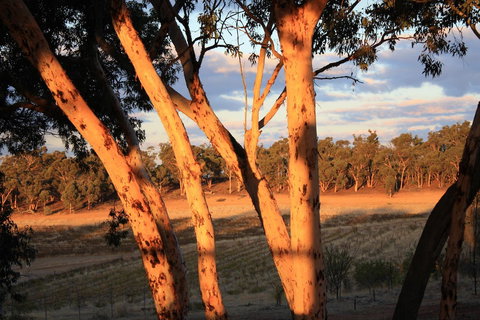 Hotham Ridge Winery And Cottages - Internet Find 30