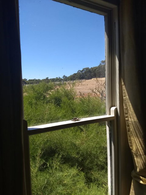 Hotham Ridge Winery And Cottages - Internet Find 8