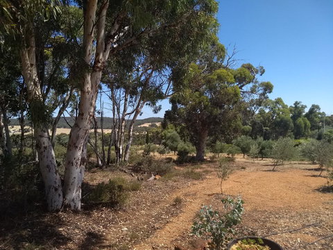 Hotham Ridge Winery And Cottages - Internet Find 13