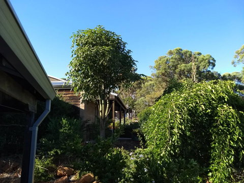 Hotham Ridge Winery And Cottages - Internet Find 5