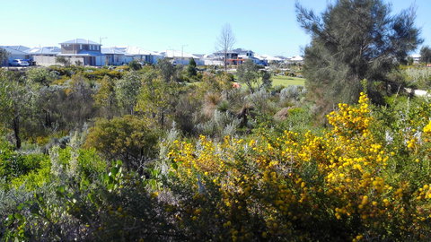 Alkimos Beach Cottage - Renee 3