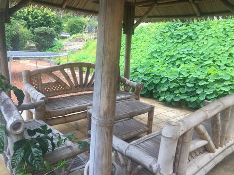 Bright & Beautiful Home On The Hills! - Swimm 25
