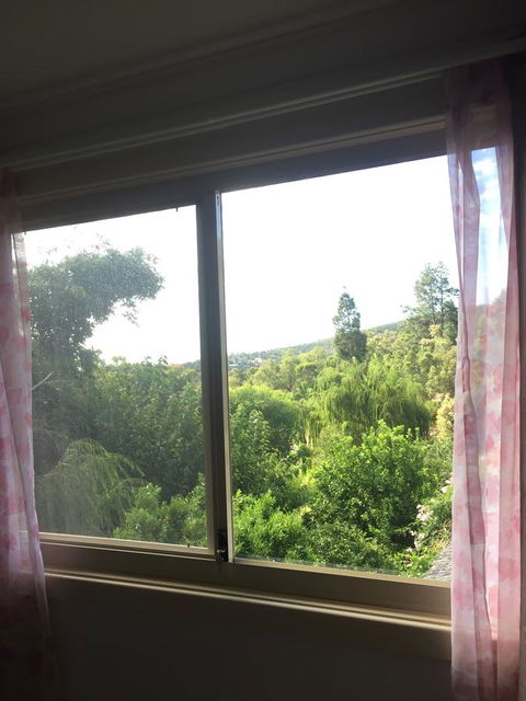Bright & Beautiful Home On The Hills! - Swimm 19