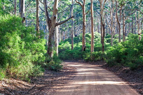 Margaret River Retreat - Renee 20