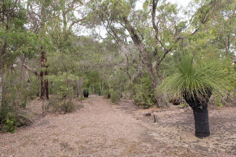 53 Martina Drive - Renee 30