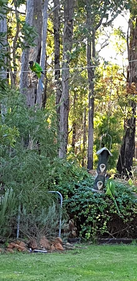 Di's Cabin In Dwellingup - Internet Find 6