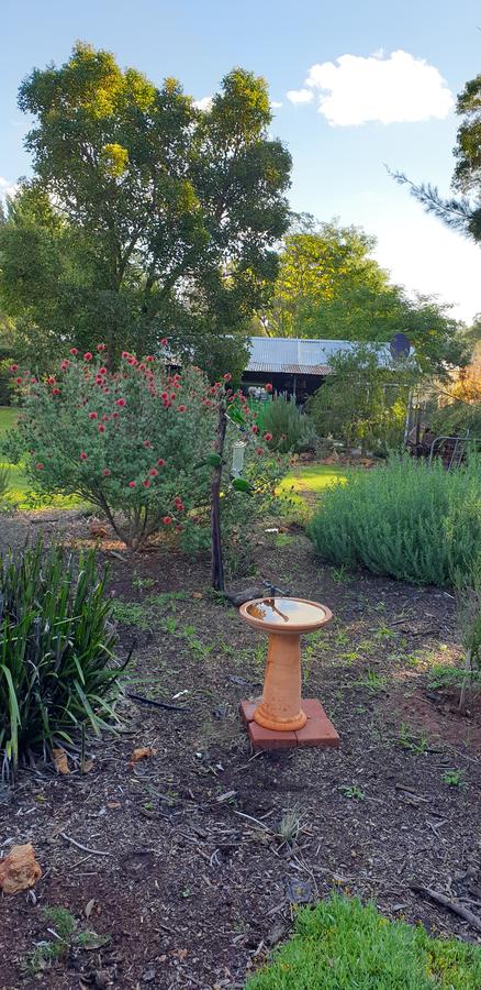 Di's Cabin In Dwellingup - Internet Find 14