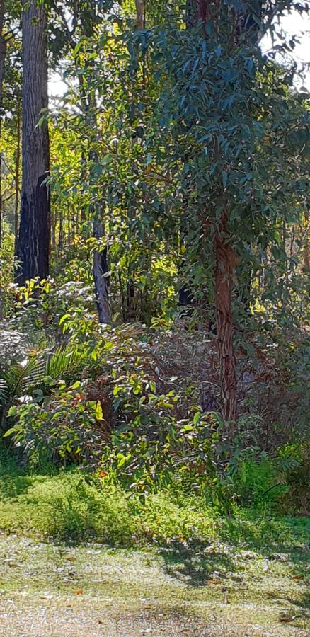 Di's Cabin In Dwellingup - Internet Find 8