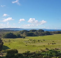 Torbay Seaview Apartment - Internet Find