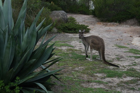 Aqua Views - Internet Find 15